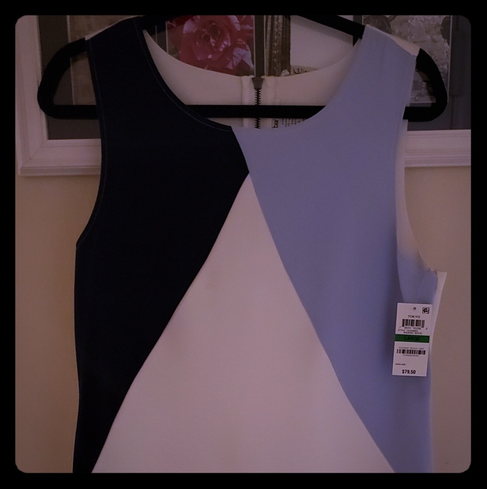 Macy's Tokyo Dress